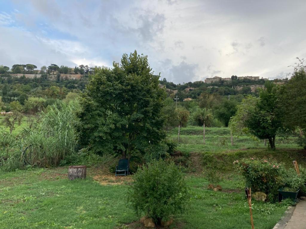 Hotel Casale Riorso Orvieto Exterior foto